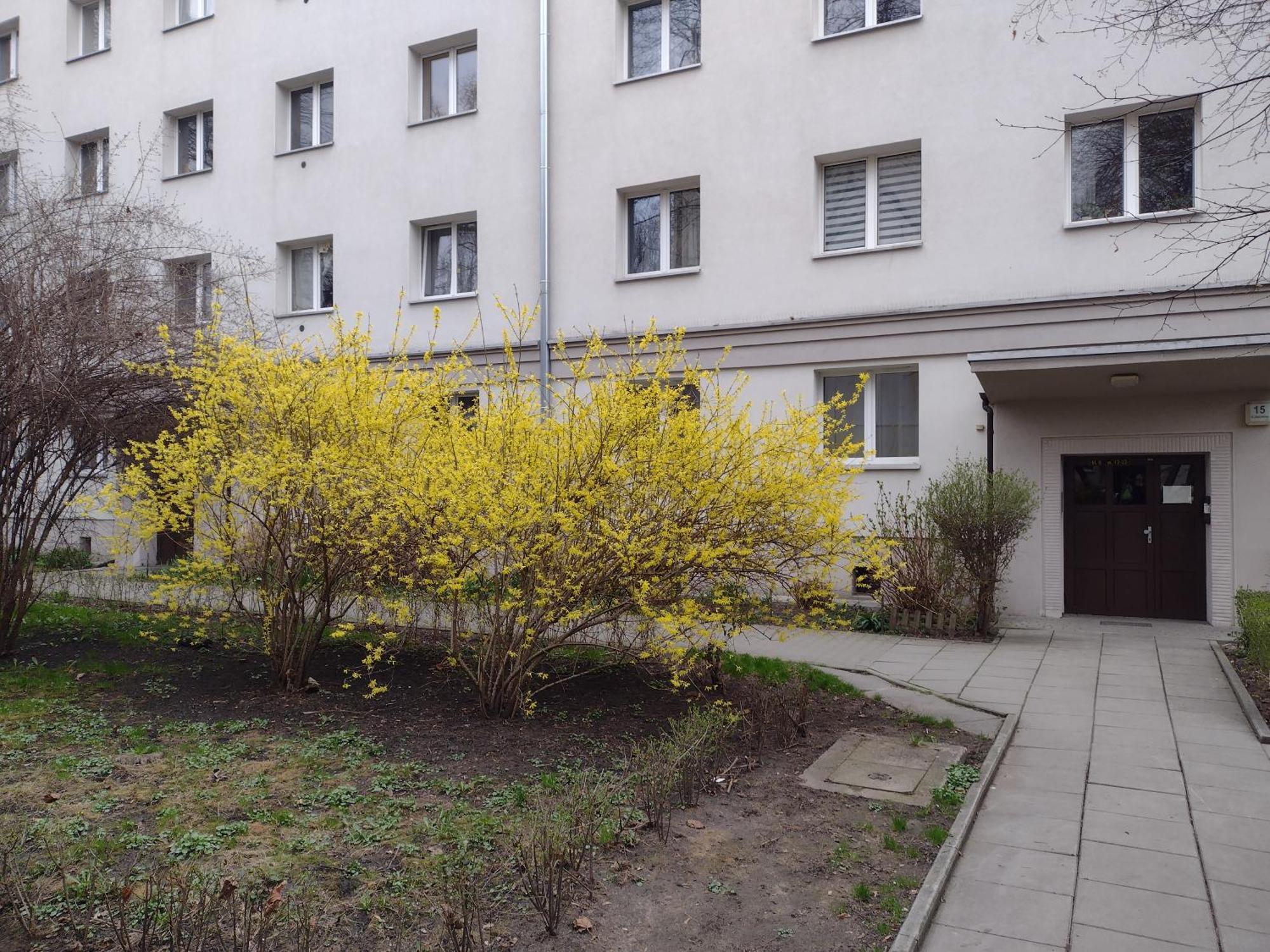 Appartement Cracowapart Ignacio A *